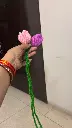 1000001196.webp