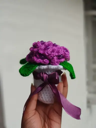 Hydrangea with pot 
